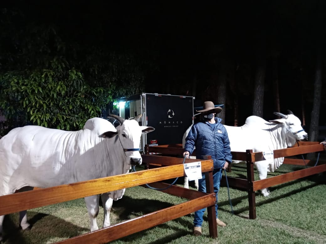 Gravação para a emissora SBT em diversos circos